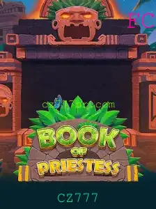 Explorando o Universo de BookOfPriestess: A Aventura Inédita do CZ777