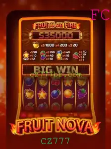 Discovering the Excitement of FruitNova: Gameplay, Introduction, and Rules